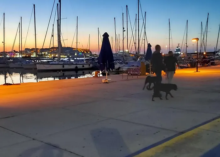 Apartment The Zen Of *