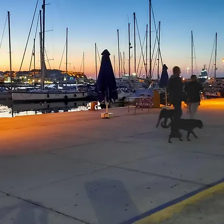 アパート The Zen Of *